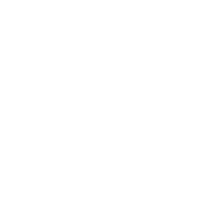logo_zurich@3x